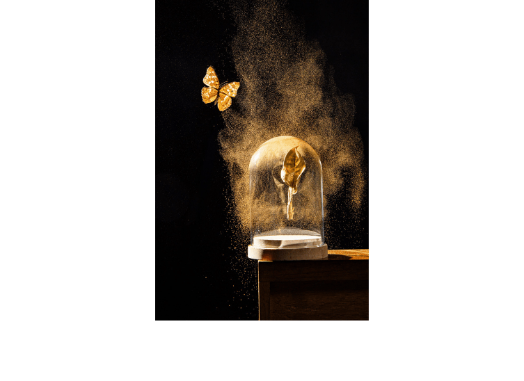 Deko golden butterfly