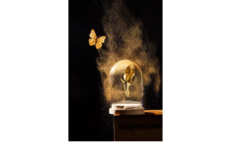 Deko golden butterfly